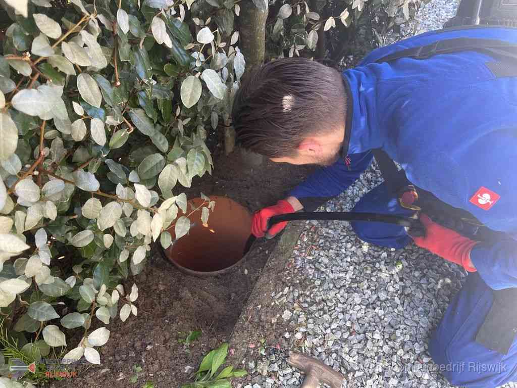 Rioolvliegjes Rijswijk Rioolvliegjes Rijswijk